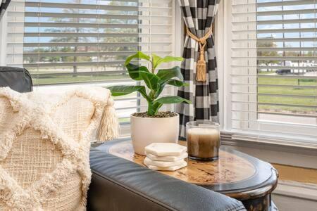 Beautiful Downstairs 1bed 1bth Charmer- Pet Friendly Apartment *