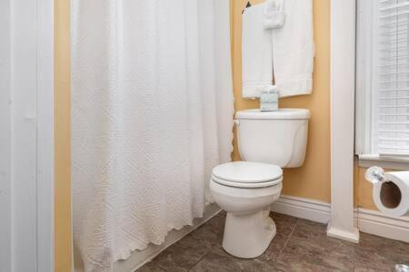 Apartment Beautiful Downstairs 1bed 1bth Charmer- Pet Friendly